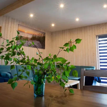 Lazurowe Apartment *